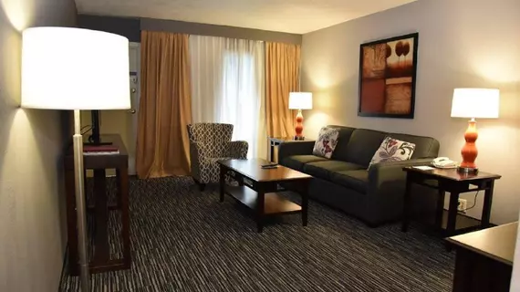 Crowne Plaza Hotel Houston Near Reliant/Medical Center | Teksas - Houston (ve civarı) - Houston