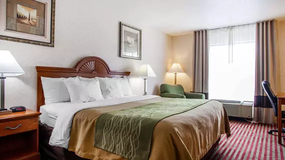 Comfort Inn Racine | Wisconsin - Milwaukee (ve civarı) - Racine - Mount Pleasant