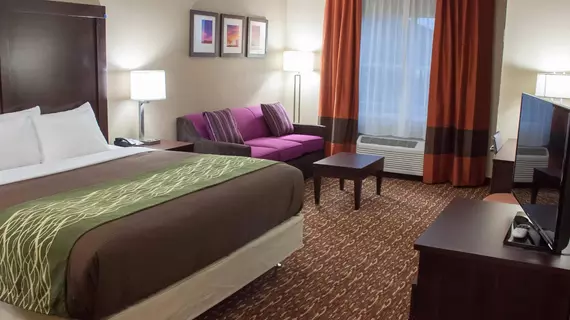 Comfort Inn & Suites Artesia | New Mexico - Carlsbad (ve civarı) - Artesia