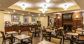 Comfort Suites Hobby Airport Houston | Teksas - Houston (ve civarı) - Houston