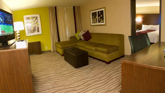 Fairfield Inn & Suites by Marriott Dallas DFW Airport South/Irving | Teksas - Dallas (ve civarı) - Irving