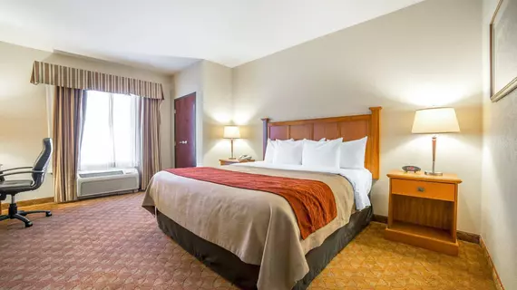 COMFORT INN & SUITES | Nevada - Clark County - Las Vegas (ve civarı) - Las Vegas