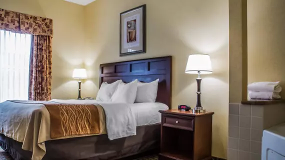 Comfort Inn & Suites Farmington | New York - Rochester (ve civarı) - Farmington