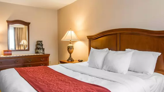 Comfort Inn & Suites East Greenbush | New York - Albany (ve civarı) - Castleton-on-Hudson