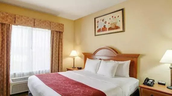 Comfort Suites North IH 35 | Teksas - San Antonio (ve civarı) - San Antonio - Kuzey San Antonio - SAT Havalimanı