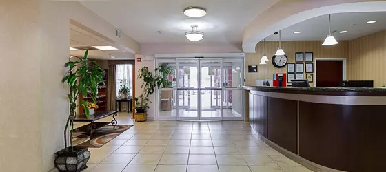 MAINSTAY SUITES TEXAS MEDICAL CENTER/RELIANT PARK | Teksas - Houston (ve civarı) - Houston