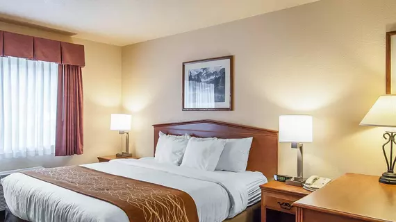 Comfort Inn & Suites Tualatin | Oregon - Portland (ve civarı) - Tualatin