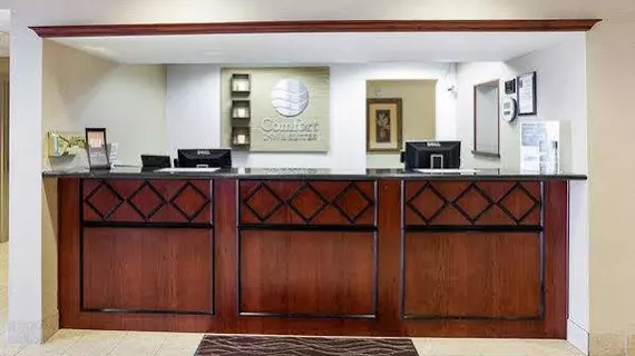 Comfort Inn & Suites San Antonio Airport | Teksas - San Antonio (ve civarı) - San Antonio - Kuzey San Antonio - SAT Havalimanı