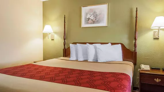 Econo Lodge Inn & Suites Murfreesboro | Tennessee - Nashville-Davidson - Nashville (ve civarı) - Murfreesboro