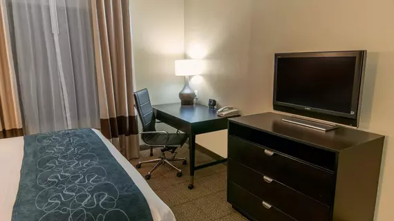 Comfort Suites Hobby Airport Houston | Teksas - Houston (ve civarı) - Houston