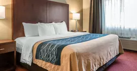 Comfort Inn Lacey | Washington - Olympia (ve civarı) - Lacey