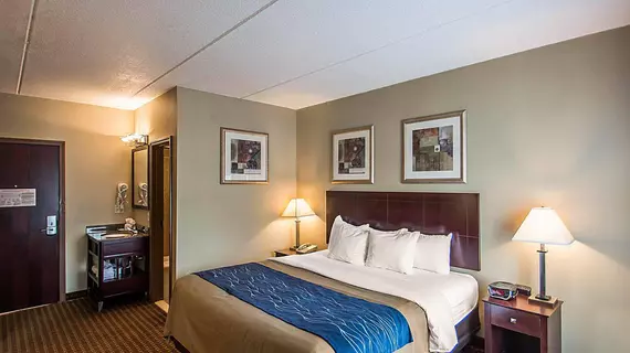 Comfort Inn Rochester | New York - Rochester (ve civarı) - Rochester