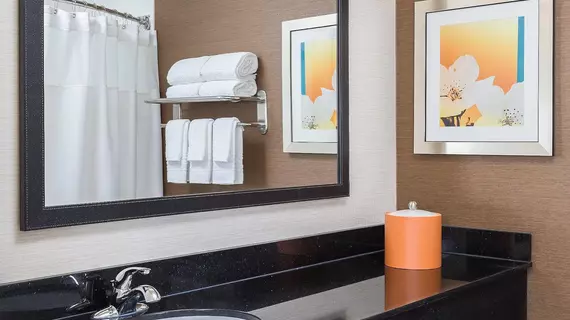 Fairfield Inn & Suites Dallas Park Central | Teksas - Dallas (ve civarı) - Dallas - Park Central