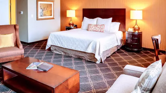 Omni Austin Hotel at Southpark | Teksas - Austin (ve civarı) - Austin