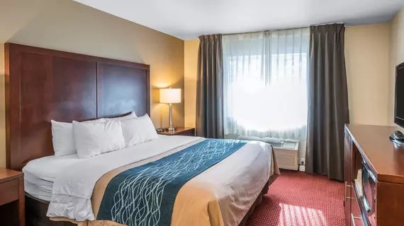 Comfort Inn Lacey | Washington - Olympia (ve civarı) - Lacey