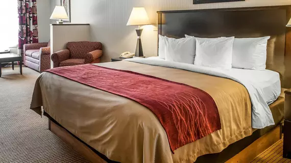 Comfort Inn Farmington | New Mexico - Farmington (ve civarı) - Farmington