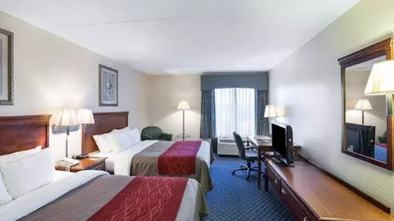 Comfort Inn & Suites San Antonio Airport | Teksas - San Antonio (ve civarı) - San Antonio - Kuzey San Antonio - SAT Havalimanı