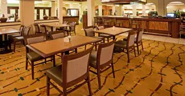 Holiday Inn & Suites Hotel Alexandria - Old Town | Virginia - İskenderiye