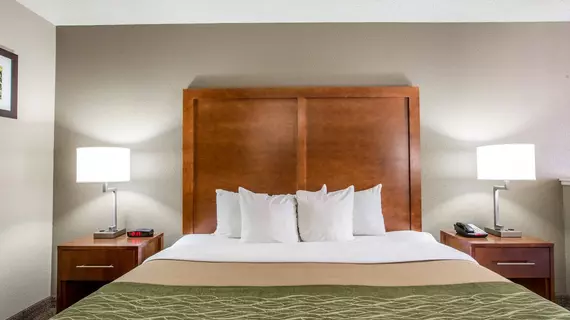 Comfort Inn & Suites at Dollywood Lane | Tennessee - Gatlinburg - Pigeon Forge (ve civarı) - Pigeon Forge