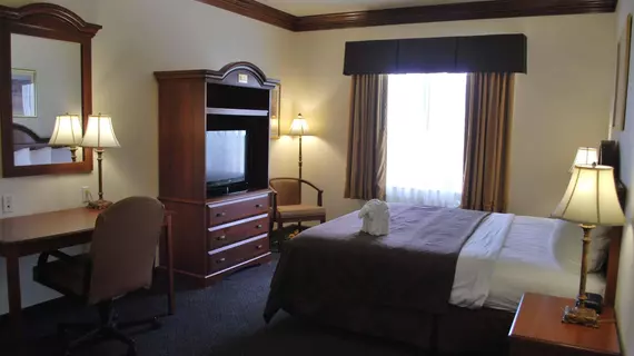 BEST WESTERN INN | Teksas - Fort Worth (ve civarı) - Fort Worth