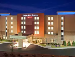 SpringHill Suites by Marriott Downtown Chattanooga/Cameron Harbor | Tennessee - Chattanooga (ve civarı) - Chattanooga - Downtown Chattanooga