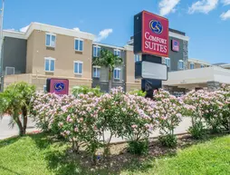 Comfort Suites Near Texas A&M - Corpus Christi | Teksas - Corpus Christi (ve civarı) - Corpus Christi