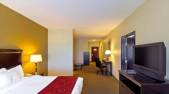 Comfort Suites University Abilene | Teksas - Abilene (ve civarı) - Abilene