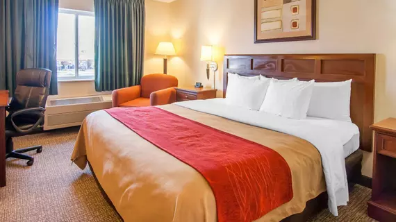 Comfort Inn North-Medford | Oregon - Medford (ve civarı) - Medford