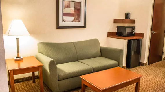 Comfort Inn & Suites Kent | Ohio - Summit İlçesi - Akron (ve civarı) - Kent