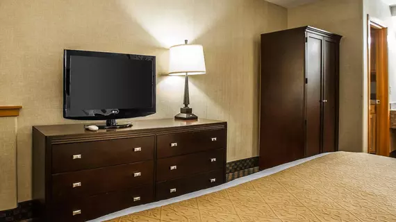 Quality Inn & Suites Seattle Center | Washington - Seattle (ve dolayları) - Seattle - South Lake Union