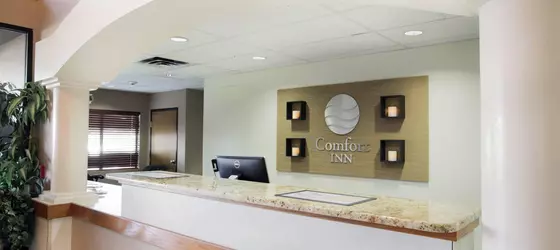 Comfort Inn Cedar Park | Teksas - Austin (ve civarı) - Cedar Park