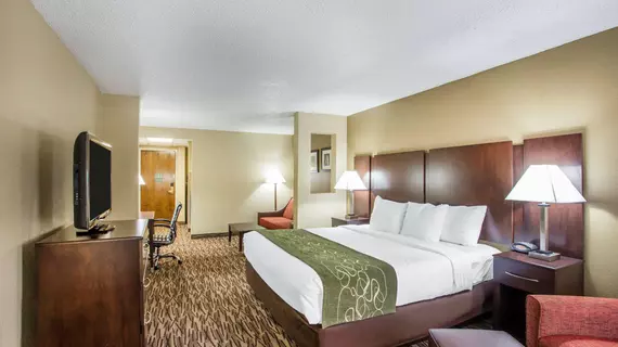 Comfort Suites Lebanon | Tennessee - Nashville-Davidson - Nashville (ve civarı) - Lebanon