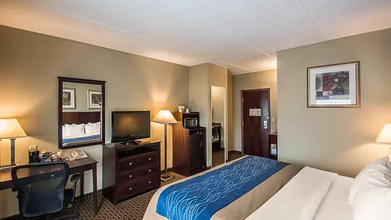 Comfort Inn Rochester | New York - Rochester (ve civarı) - Rochester