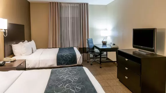 Comfort Suites Hobby Airport Houston | Teksas - Houston (ve civarı) - Houston