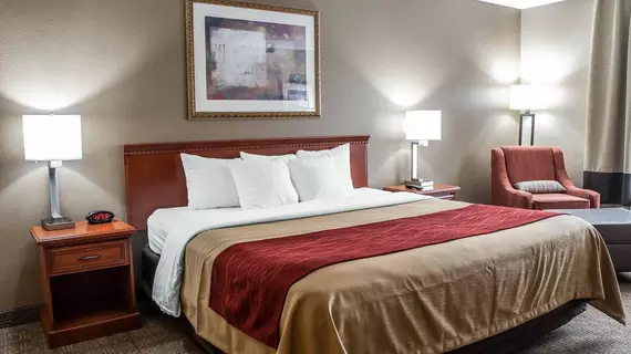 Comfort Inn Near Six Flags St. Louis | Missouri - St. Louis (ve civarı) - Pacific