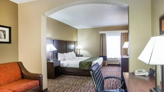 Comfort Suites Lebanon | Tennessee - Nashville-Davidson - Nashville (ve civarı) - Lebanon