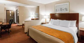 Comfort Inn Kelso | Washington - Kelso - Longview (ve civarı) - Kelso