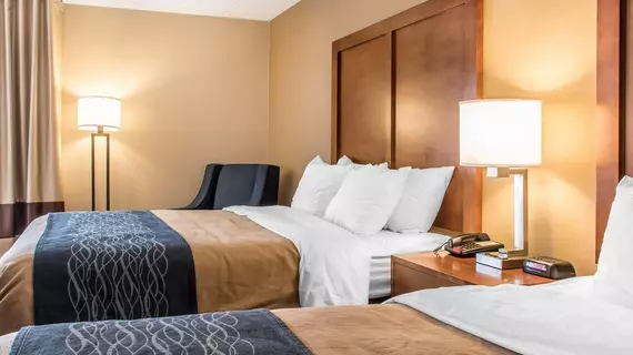 Comfort Inn Clarks Summit | Pensilvanya - Scranton (ve civarı) - Clarks Summit