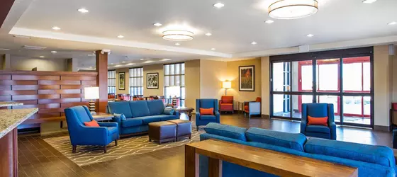 COMFORT INN & SUITES CHEYENNE | Wyoming - Cheyenne (ve civarı) - Cheyenne