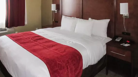 Sleep Inn & Suites Abilene | Teksas - Abilene (ve civarı) - Abilene