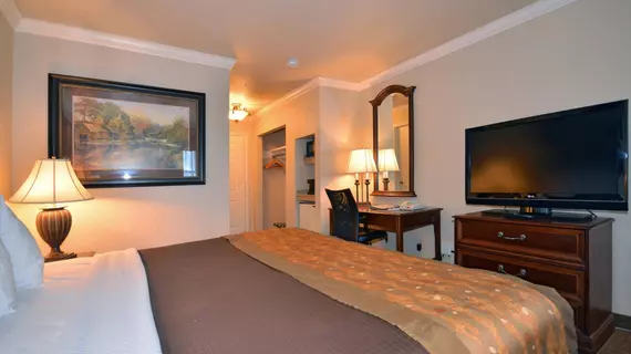 Best Western Inn Of Mcalester | Oklahoma - McAlester (ve civarı) - McAlester