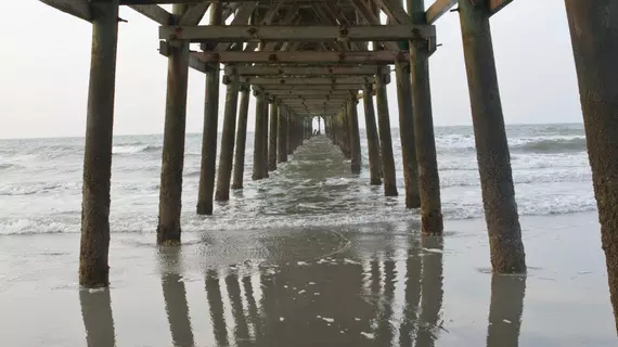 Wyndham SeaWatch Plantation | Güney Karolayna - Myrtle Plajı (ve civarı) - Myrtle Beach