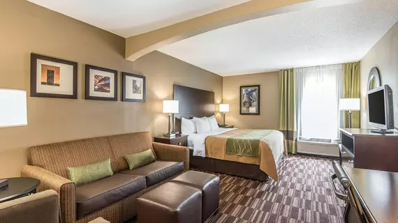 Comfort Inn and Suites Kansas City Northeast | Missouri - Kansas City (ve civarı) - Kansas