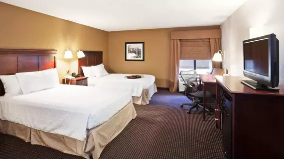 Hampton Inn Sioux Falls | Güney Dakota - Sioux Falls (ve civarı) - Sioux Falls