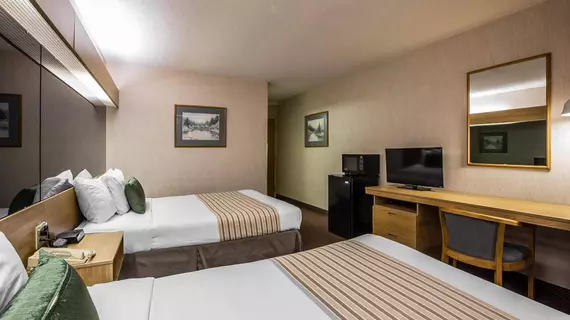 Econo Lodge Inn and Suites Greenville | Güney Karolayna - Greenville - Spartanburg (ve civarı) - Greenville