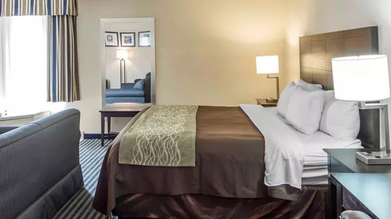 Comfort Inn Tulsa - Downtown West | Oklahoma - Tulsa (ve civarı) - Tulsa