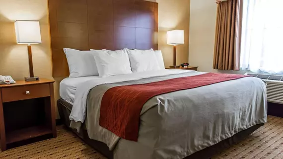 Comfort Inn and Suites Franklin | Kentucky - Bowling Green (ve civarı) - Franklin