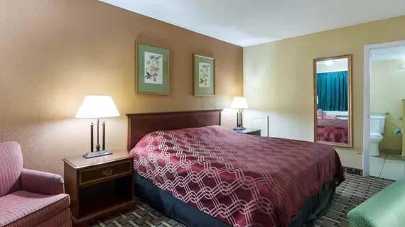 Econo Lodge Town Center | Virginia - Norfolk - Virginia Beach (ve civarı) - Virginia Beach