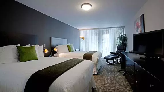 Bentleys Boutique Hotel | Florida - Sarasota (ve civarı) - Osprey