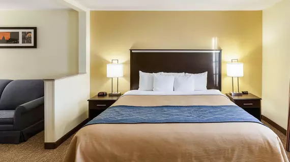 Comfort Inn & Suites Texas Hill Country | Teksas - San Antonio (ve civarı) - Boerne